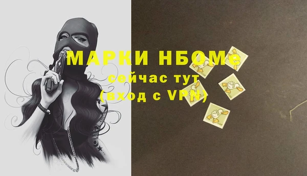 ПСИЛОЦИБИНОВЫЕ ГРИБЫ Заволжье