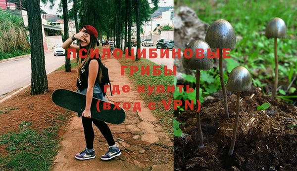 скорость Заводоуковск