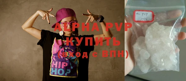 ПСИЛОЦИБИНОВЫЕ ГРИБЫ Заволжье